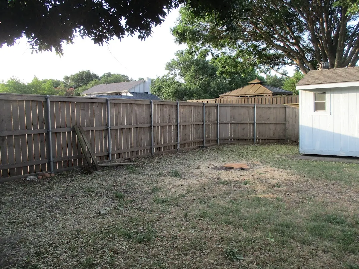 Cleared yard after professional tree removal in Millersville